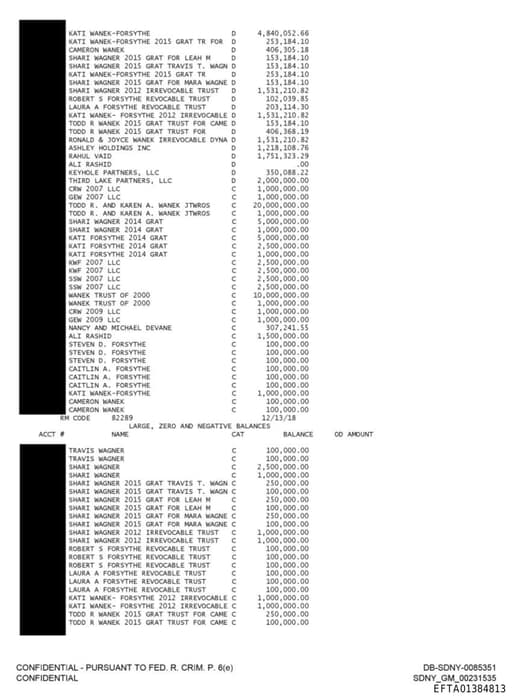 Preview of EFTA01384813