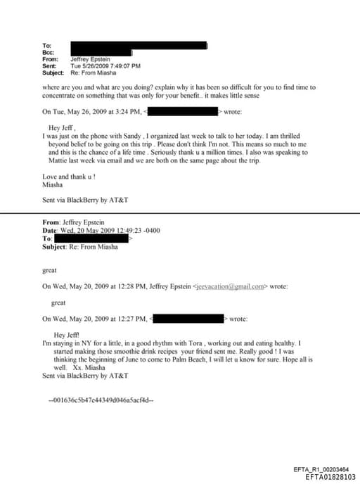 Preview of EFTA01828103