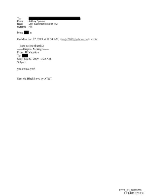 Preview of EFTA01828338