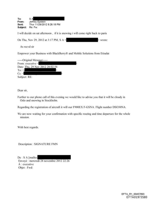 Preview of EFTA01973580