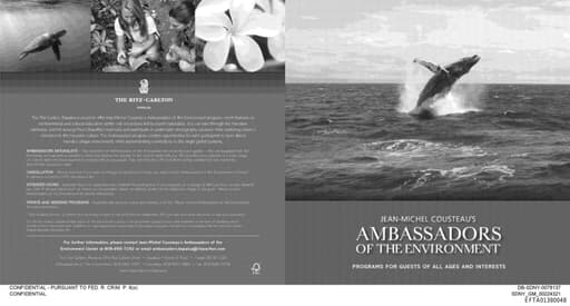 Preview of EFTA01380048