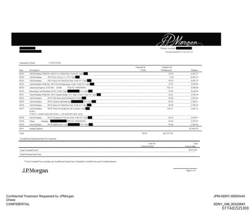 Preview of EFTA01525300