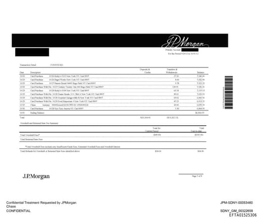 Preview of EFTA01525306