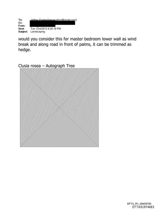 Preview of EFTA01974683