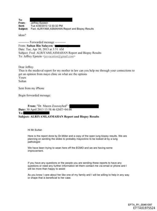 Preview of EFTA01975524