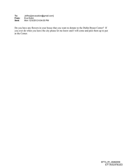 Preview of EFTA01976103