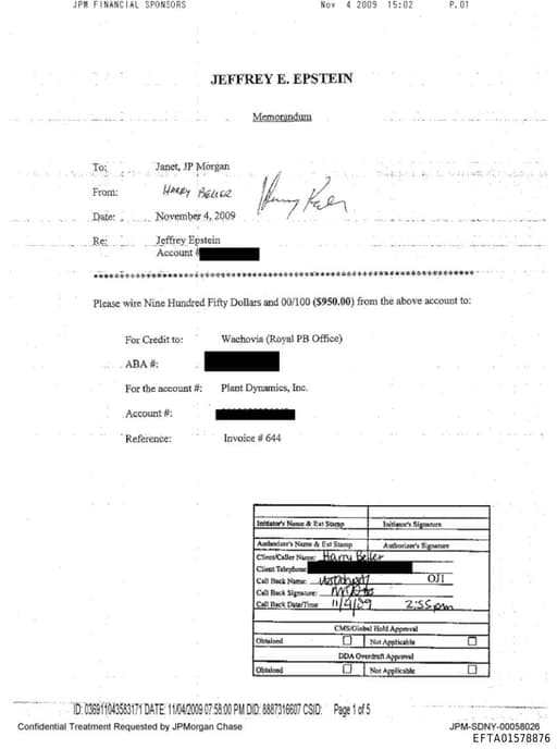 Preview of EFTA01578876