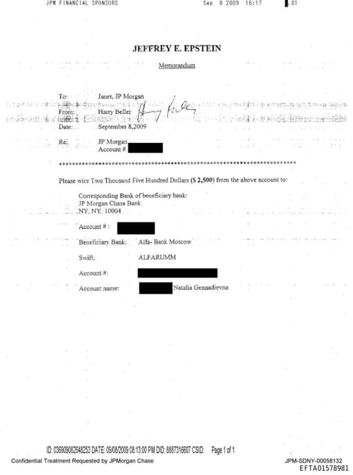 Preview of EFTA01578981