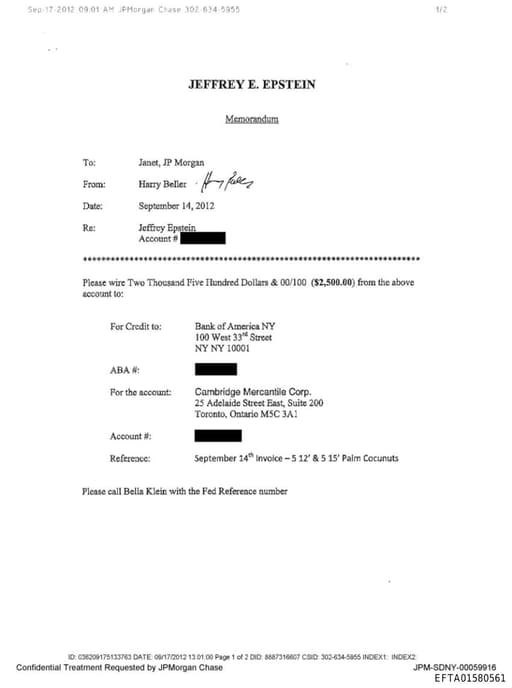 Preview of EFTA01580561