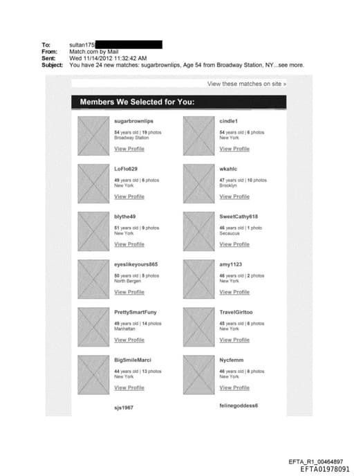 Preview of EFTA01978091