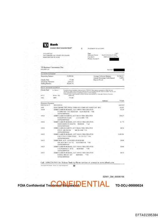 Preview of EFTA01595384