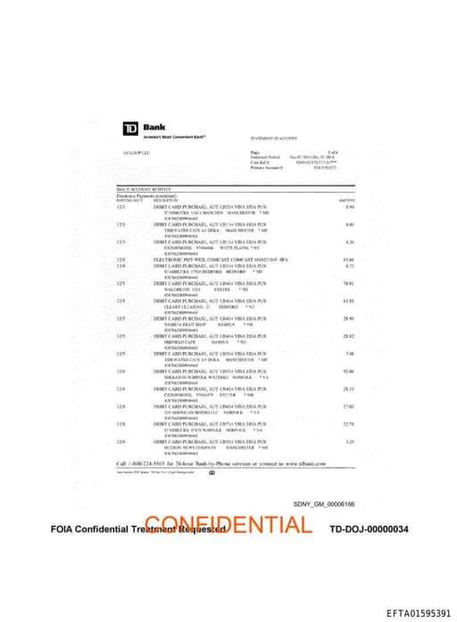 Preview of EFTA01595391