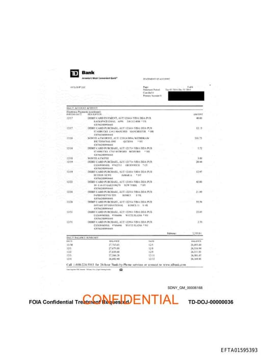 Preview of EFTA01595393