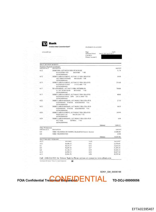 Preview of EFTA01595407