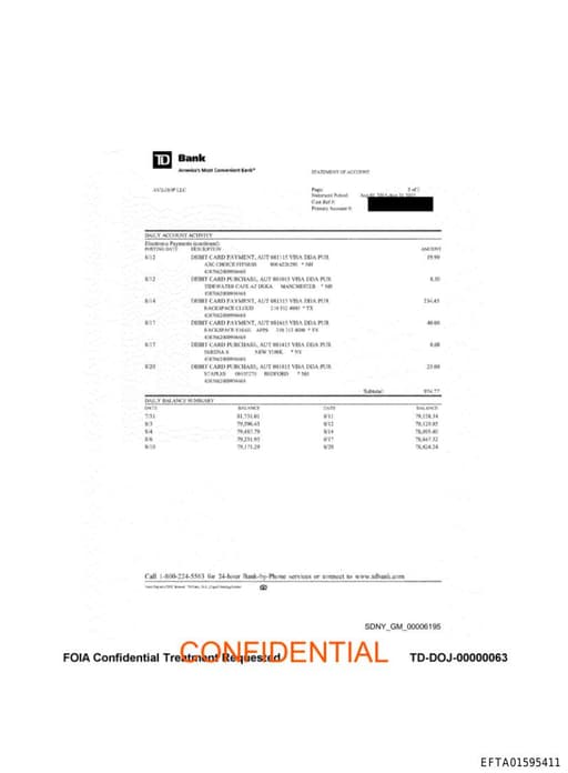 Preview of EFTA01595411