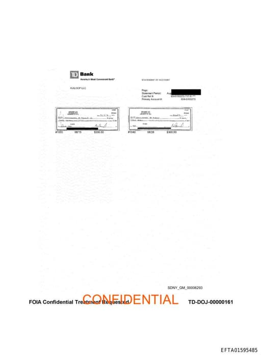 Preview of EFTA01595485