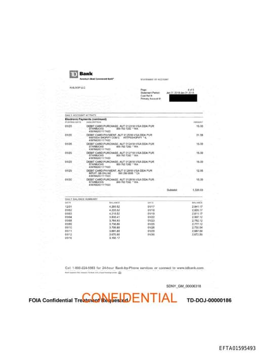 Preview of EFTA01595493