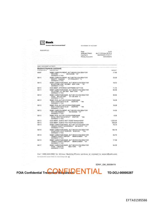 Preview of EFTA01595566