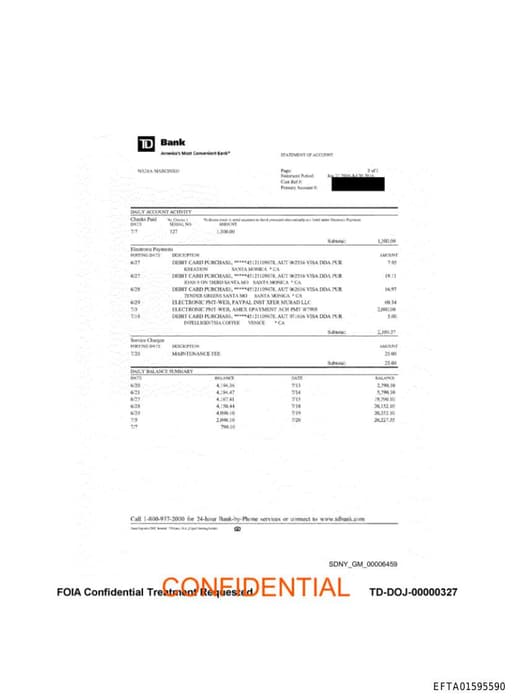 Preview of EFTA01595590