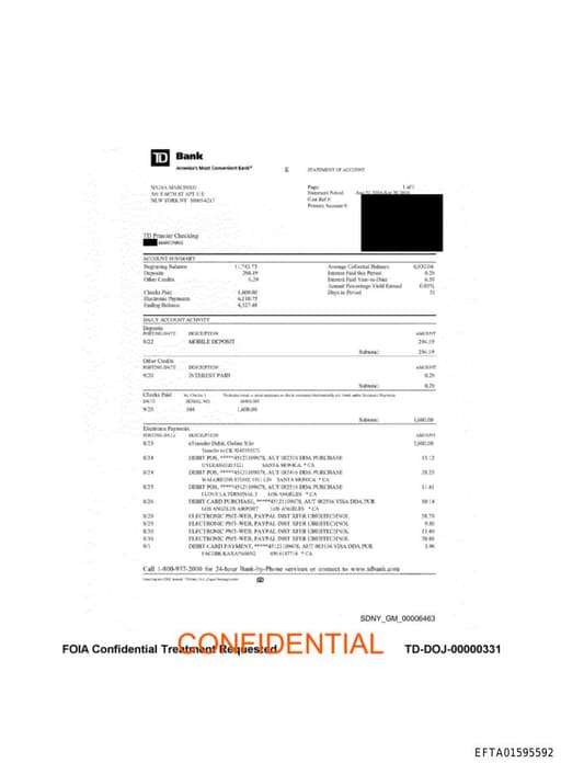 Preview of EFTA01595592