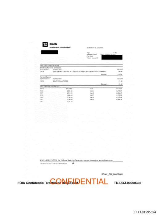 Preview of EFTA01595594