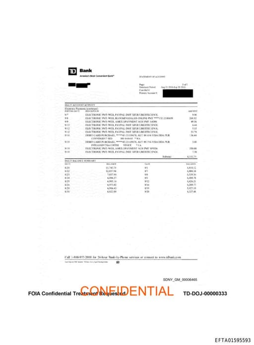 Preview of EFTA01595593