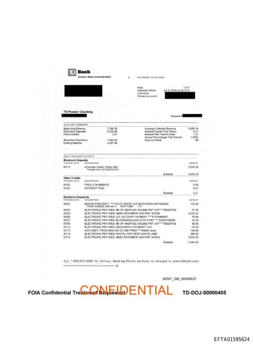 Preview of EFTA01595624