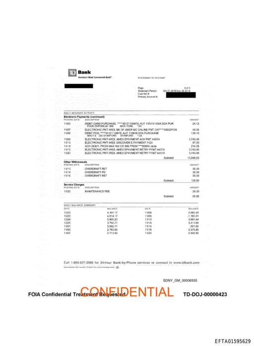 Preview of EFTA01595629