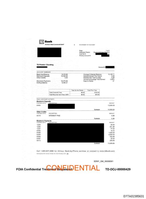 Preview of EFTA01595631