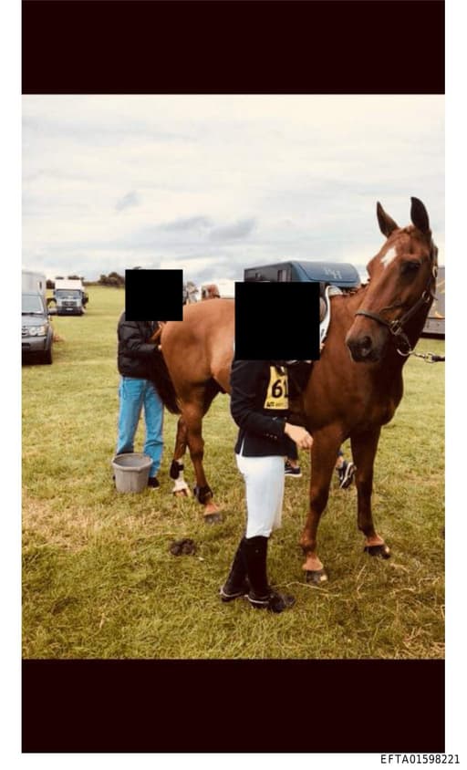 Preview of EFTA01598221