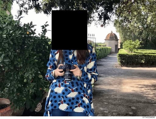 Preview of EFTA01599391