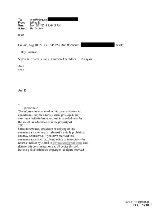 Preview of EFTA01979096