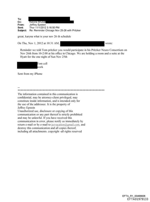 Preview of EFTA01979133