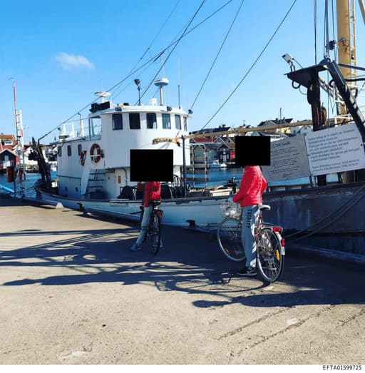 Preview of EFTA01599725