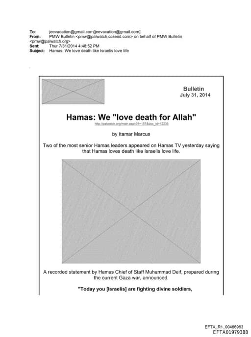 Preview of EFTA01979388