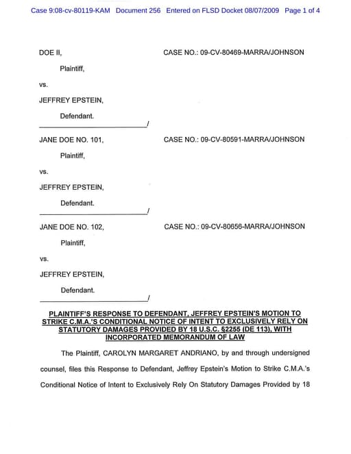 Preview of DOJ-COURT-256