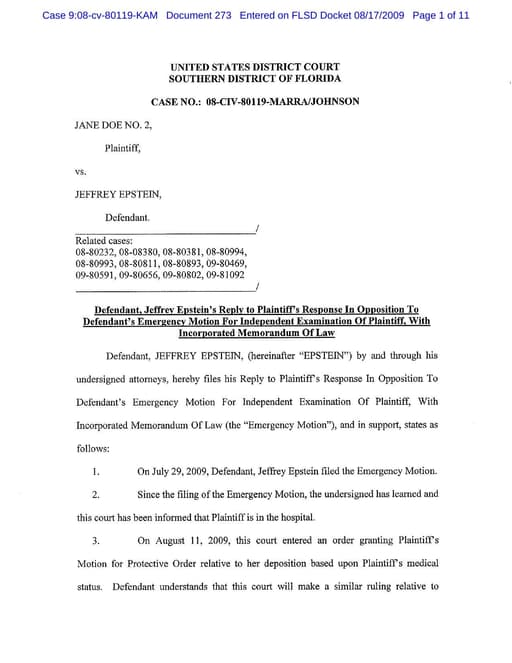 Preview of DOJ-COURT-273