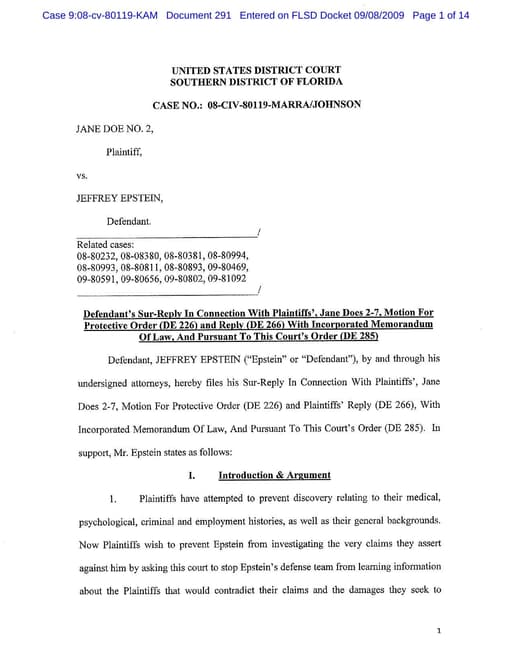 Preview of DOJ-COURT-291