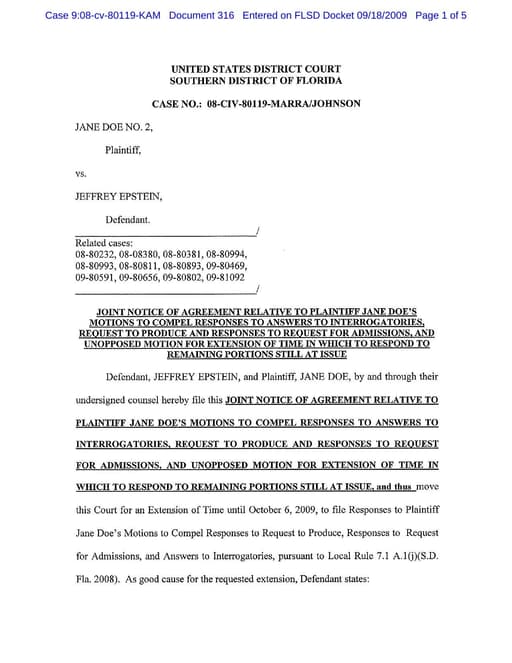 Preview of DOJ-COURT-316