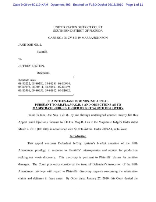 Preview of DOJ-COURT-493