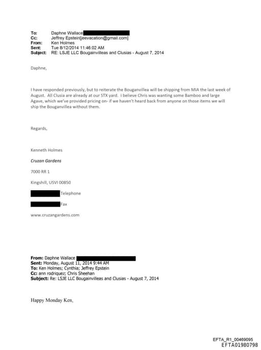 Preview of EFTA01980798