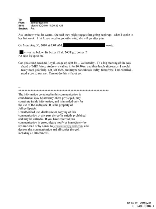 Preview of EFTA01980891