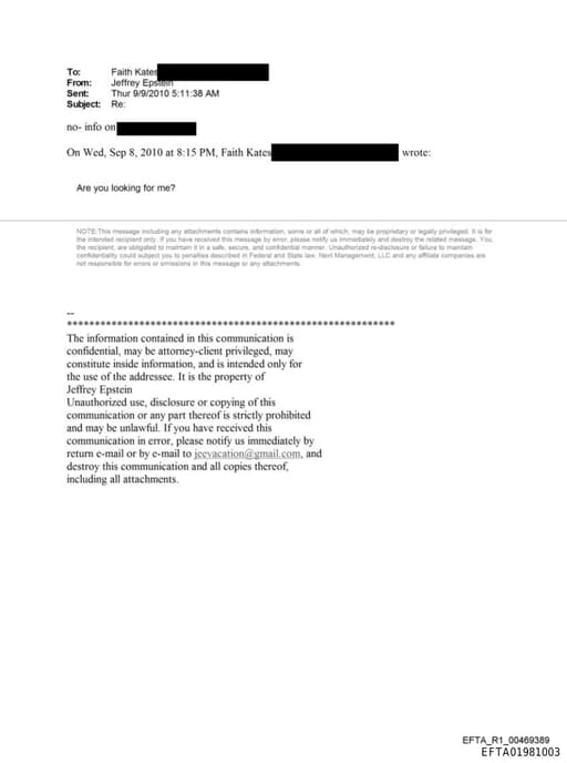 Preview of EFTA01981003