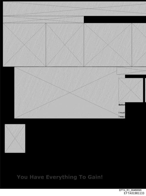 Preview of EFTA01981133