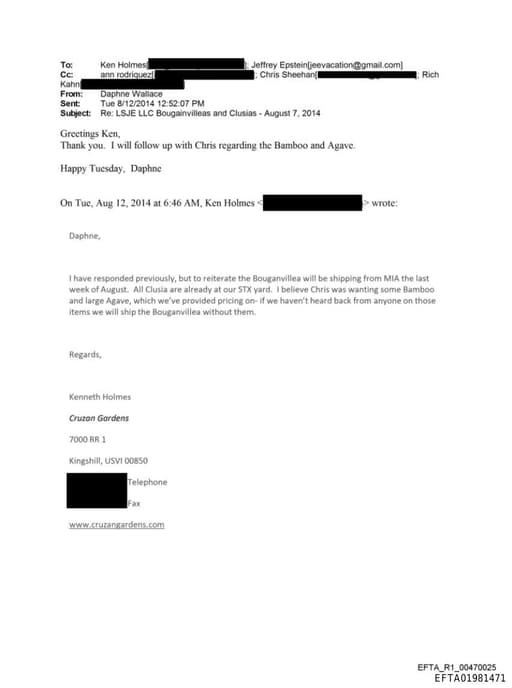 Preview of EFTA01981471