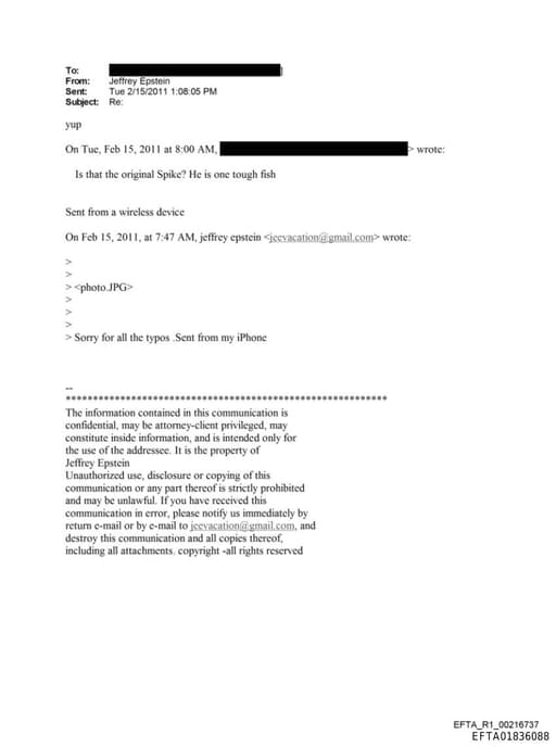 Preview of EFTA01836088