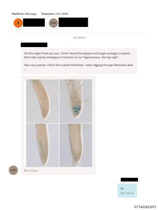 Preview of EFTA01612972