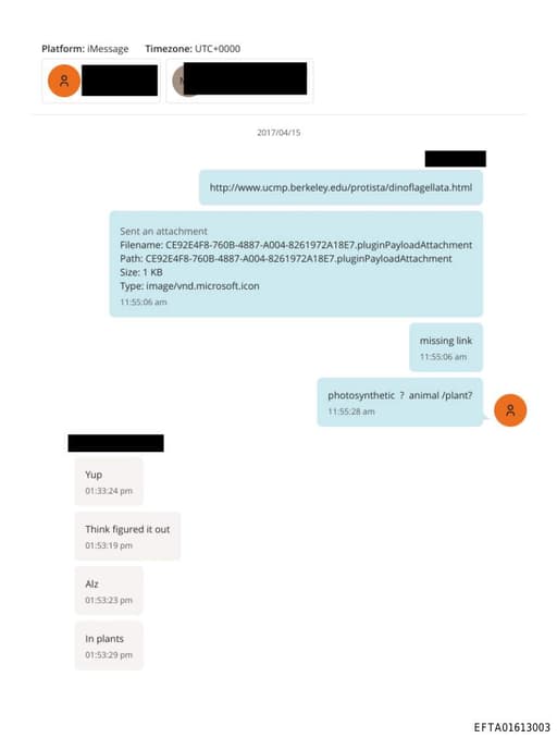 Preview of EFTA01613003