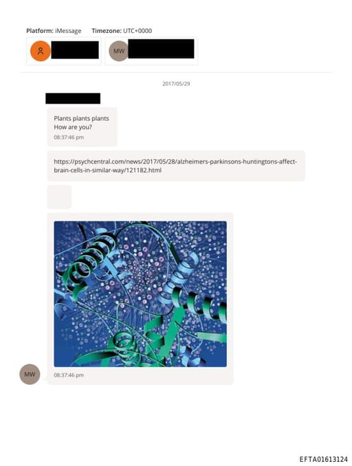 Preview of EFTA01613124