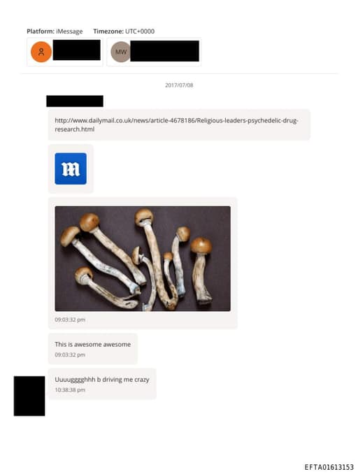 Preview of EFTA01613153